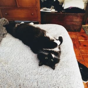 Meet your Posher, Erica